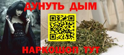 прущие грибы Кингисепп