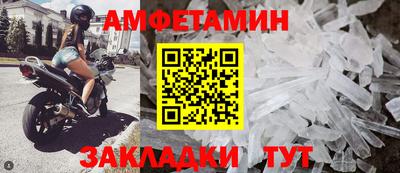 прущие грибы Кингисепп